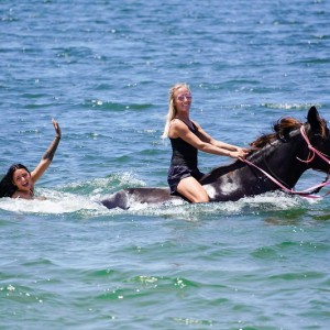 Channel Your Inner Equestrian with Florida Beach Horses