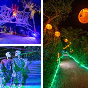  Lights at Spooky Point Returns October 13â€“31