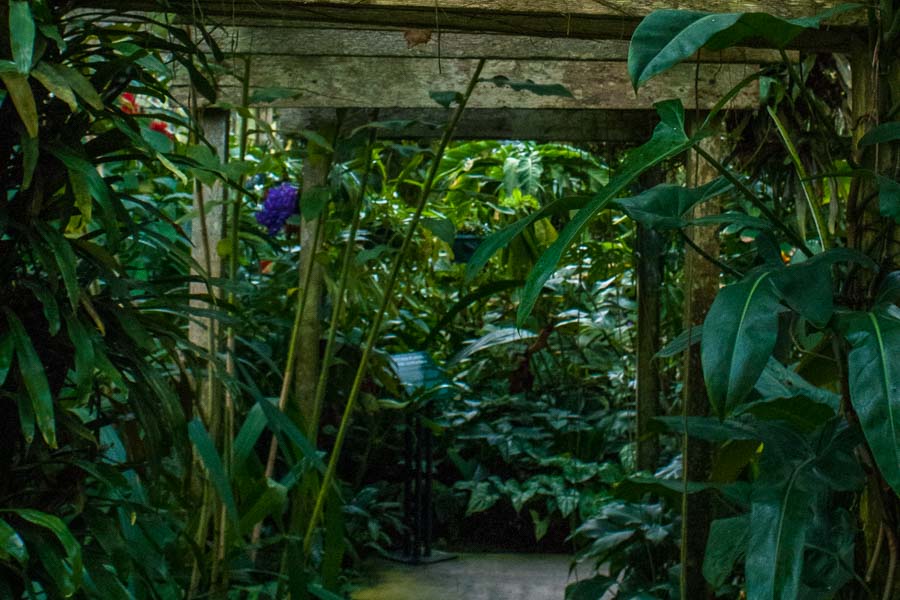 Best Overlooked Tourist Attraction: Selby Gardens