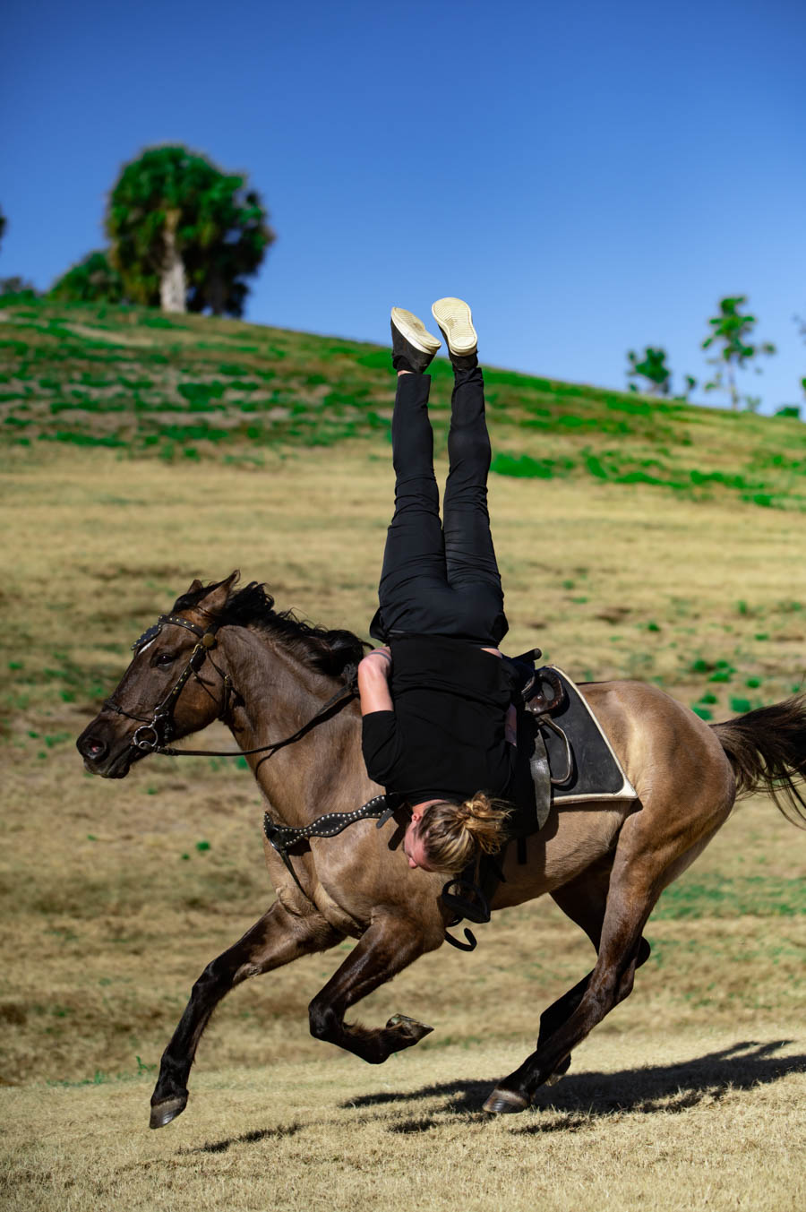 Ermes defies gravity from atop his horse, Murdock, a grulla-colored American Quarter Horse Cross